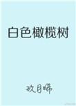 白色橄榄树原著