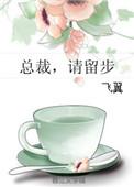 总裁请留步 飞翼