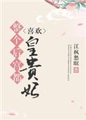 全后宫都以为贵妃