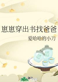 崽崽穿出书找爸爸_爱哈哈的小刀
