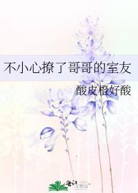 不小心撩了哥哥的室友无删减