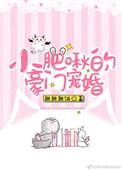 小肥啾目录