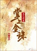 掌上例珠