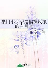 豪门小少爷是偏执反派的白月光 作者琅空一色
