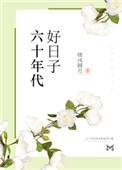 六十年代好日子全文阅读
