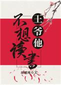 王爷不爱读书