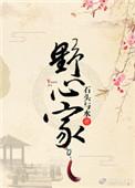 野心家讲的什么