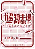 储物手镯也跟来了 全文阅读