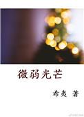 微弱光芒免费阅读