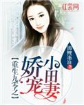 重生九零小娇媳免费