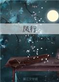 风行星海v9价格