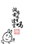 洞房前还有遗言吗全文txt