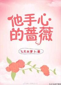 他手心的蔷薇全文阅读