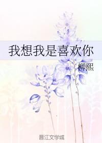 我想我是喜欢你的歌曲