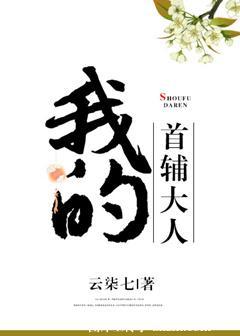 我的首辅大人无防盗章