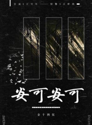 安可安可txt全文加番外