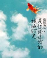 是你路过我的倾城时光免费阅读