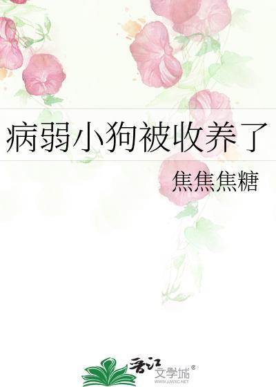 收养的流浪狗生病了