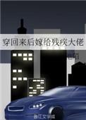 穿回来后嫁给残疾大佬重生