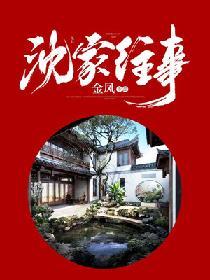 电视剧里有沈家是什么电影剧