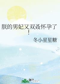 朕的俏男妃全文免费阅读