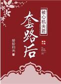 心机夫君套路后txt最新章节更新