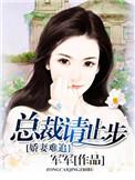 总裁娇妻不好追