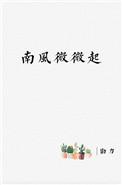 南风微微起番外txt百度