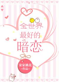 全世界最好的暗恋宋家免费阅读