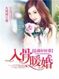入骨暖婚误惹天价老公txt