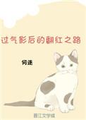 过气影后当红导演