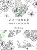 送你一枝野百合 好看吗