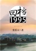 回档1995有几部
