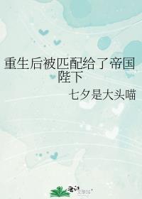 重生后被匹配给了帝国陛下免费阅读