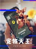 宠物天王为什么突然完结