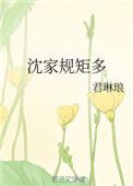 沈家规矩多txt