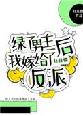 嫁给男主反派哥哥以后