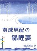 穿成男配的锦鲤妻无弹窗