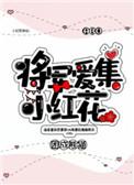 将军爱集小红花by