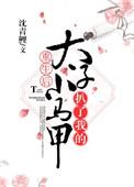 太子扒了我的小马甲