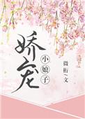 娇宠小娘子全文阅读