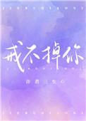 戒不掉你的爱歌词完整版