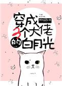 穿成三个大佬的白月光txt微盘