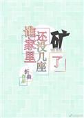 谁家里还没几座矿了叶沂舟