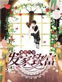 重生八零发家致富养崽崽棠花落