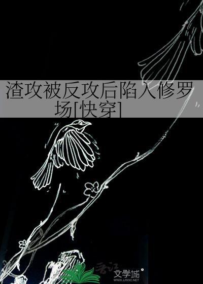 渣攻的反攻之路