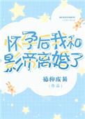 怀孕后我和影帝前夫离婚了