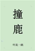 撞鹿的风水寓意