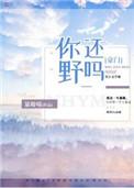 你还野吗陆晚