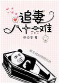 80追妻1台词
